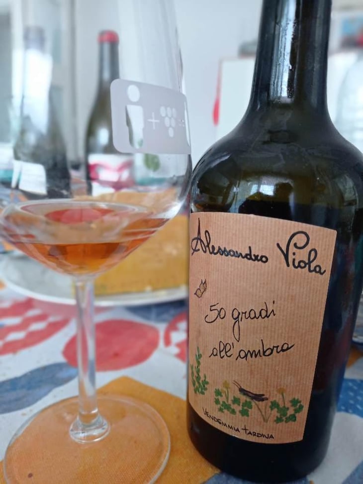 50 Gradi All’Ombra - Azienda Agricola Alessandro Viola - Alessandro Viola 