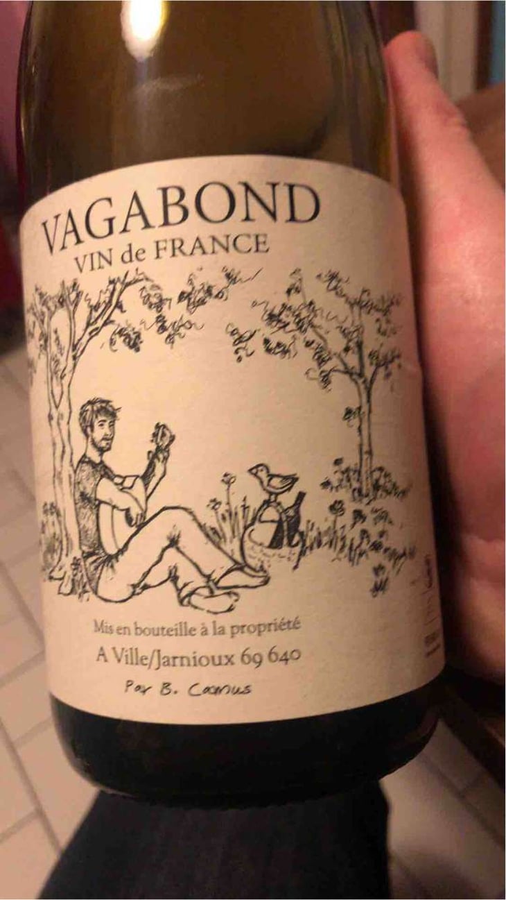 Le Vagabond - Benoit Camus - Benoit Camus 