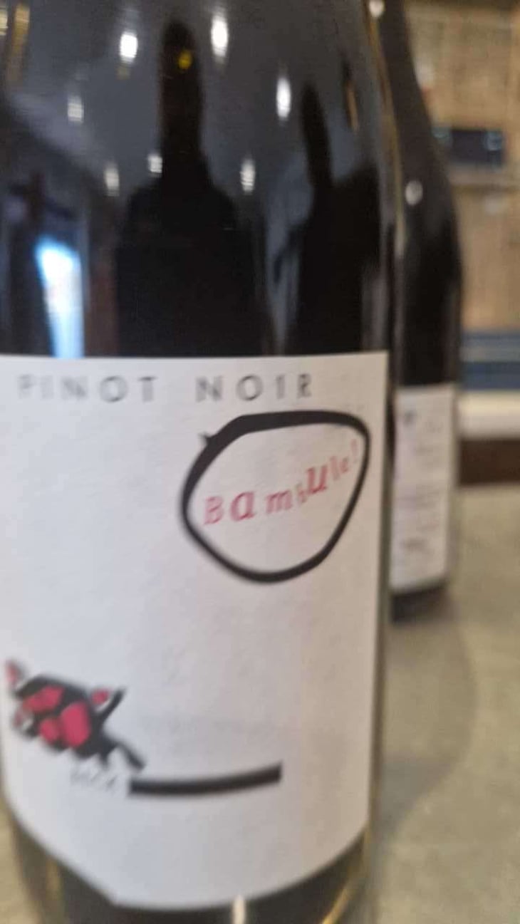 Bambule ! Pinot Noir - Weingut Beck - Judith Beck 