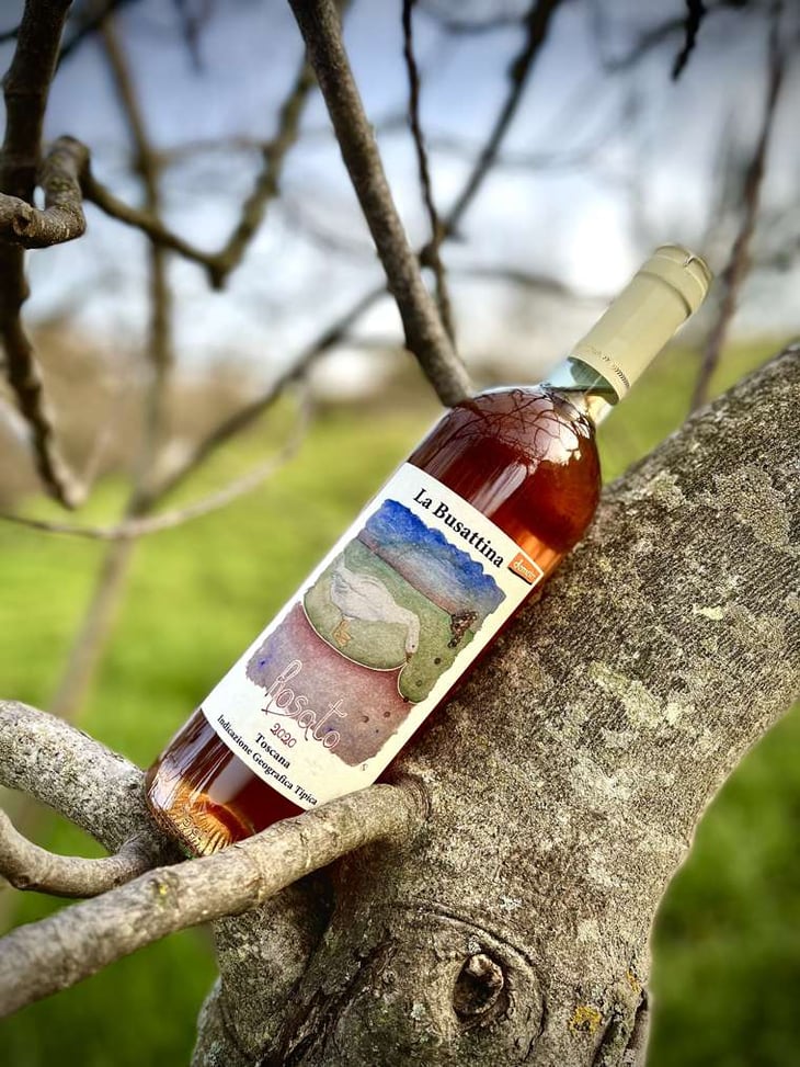 Rosato - Azienda Agricola La Busattina - Emilio Falcione 