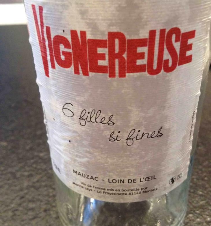 6 Filles Si Fines - La Vignereuse - Marine Leys 