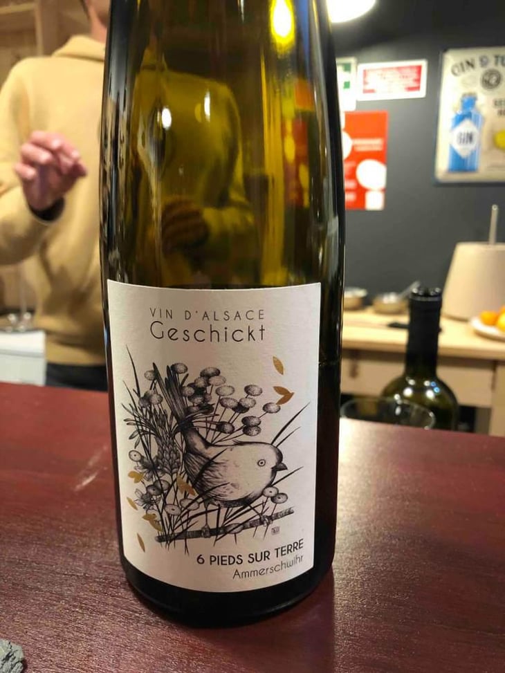 6 Pieds sur Terre - Domaine Geschickt - Arnaud Geschickt & Aurélie Fayolle 