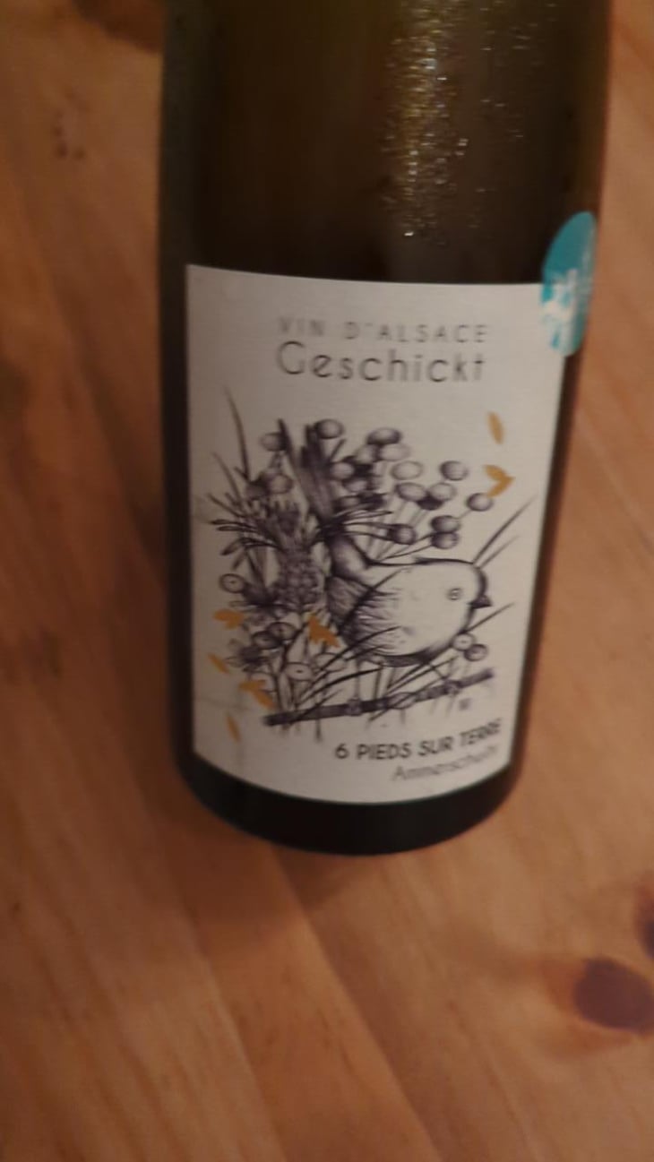 6 Pieds sur Terre - Domaine Geschickt - Arnaud Geschickt & Aurélie Fayolle 