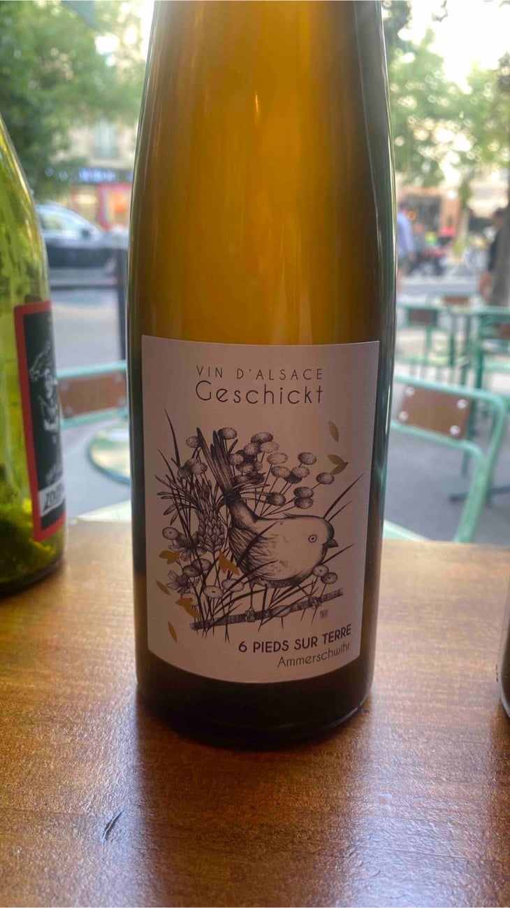 6 Pieds sur Terre - Domaine Geschickt - Arnaud Geschickt & Aurélie Fayolle 