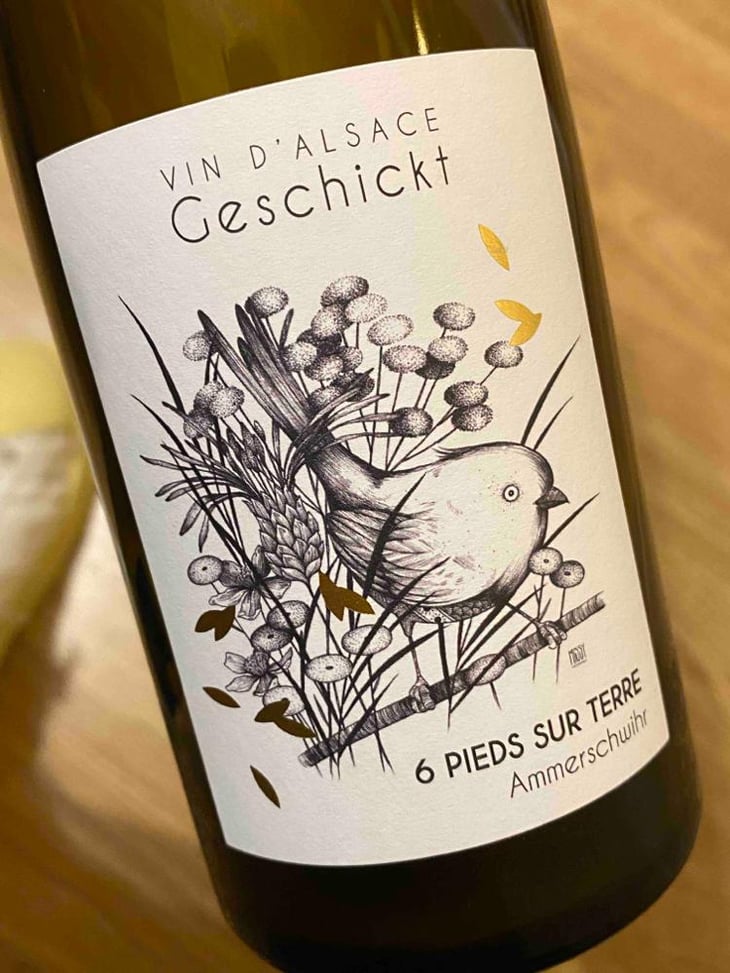 6 Pieds sur Terre - Domaine Geschickt - Arnaud Geschickt & Aurélie Fayolle 
