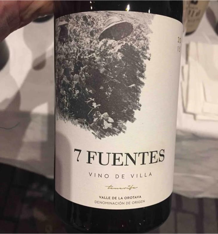 7 Fuentes - Bodegas Suertes Del Marques - Jonatan Garcia Lima & Luis Seabra 