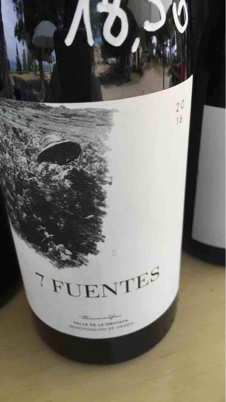 7 Fuentes - Bodegas Suertes Del Marques - Jonatan Garcia Lima & Luis Seabra 