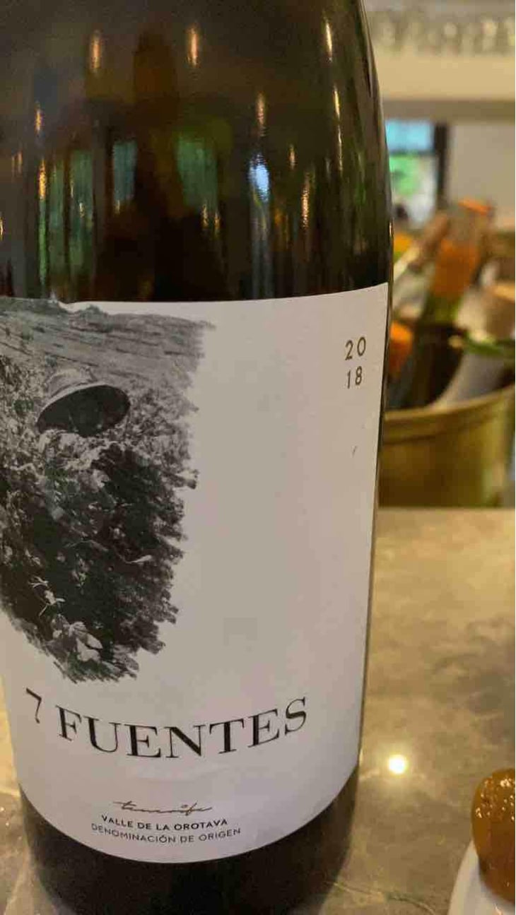 7 Fuentes - Bodegas Suertes Del Marques - Jonatan Garcia Lima & Luis Seabra 