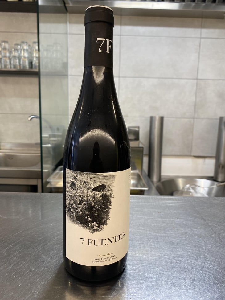 7 Fuentes - Bodegas Suertes Del Marques - Jonatan Garcia Lima & Luis Seabra 