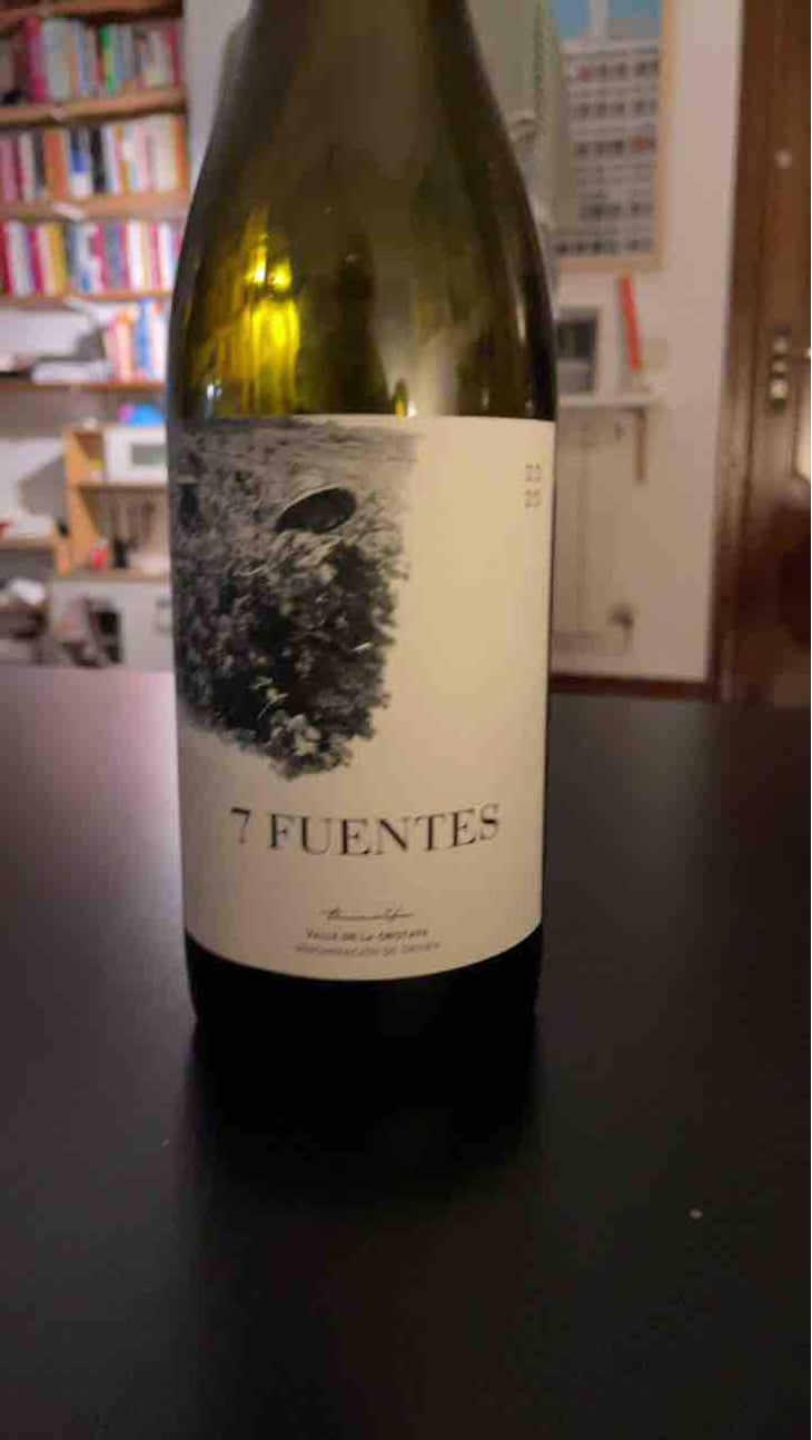 7 Fuentes - Bodegas Suertes Del Marques - Jonatan Garcia Lima & Luis Seabra 