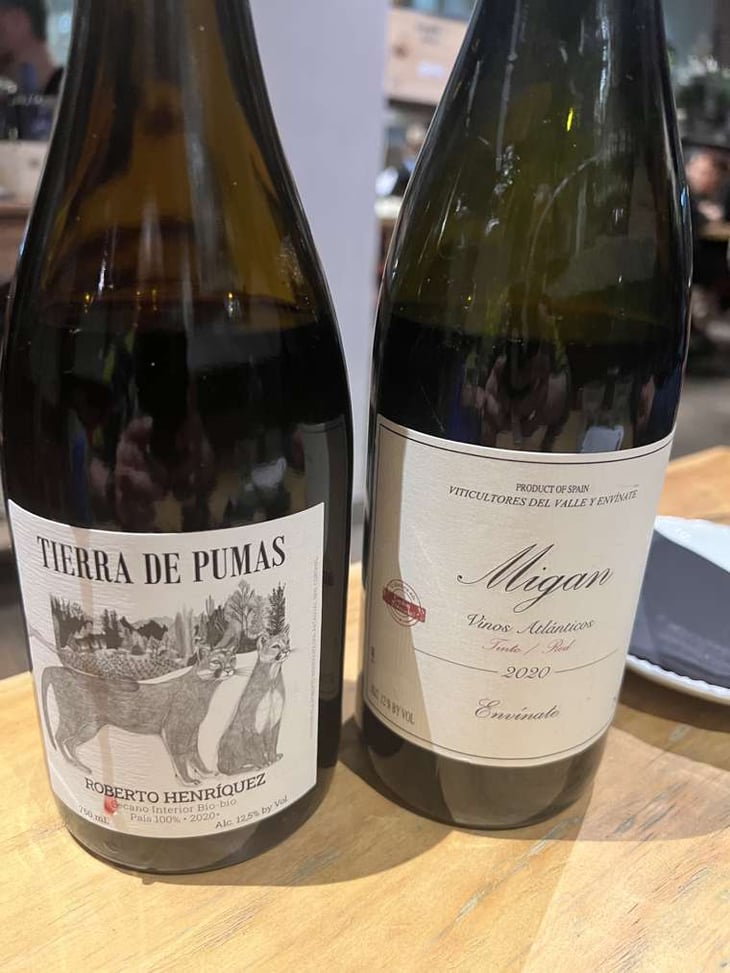 Tierra De Pumas - Roberto Henriquez - Roberto Henriquez 