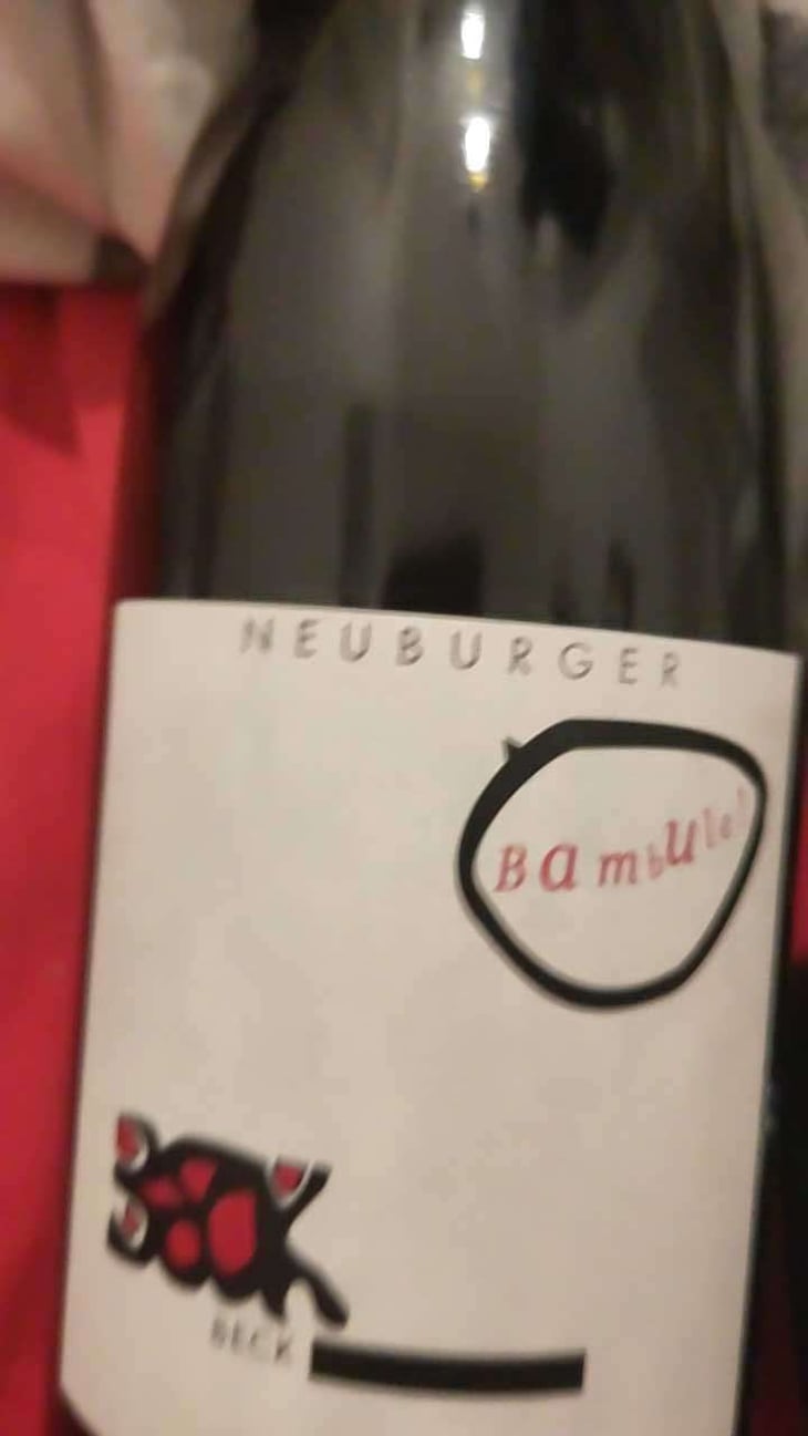 Bambule ! Neuburger - Weingut Beck - Judith Beck -2020