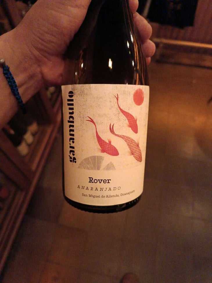 Rover - Cava Garambullo - Branko & Natalia Pjanic 