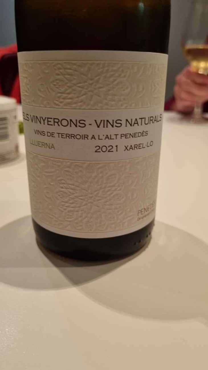 Lluerna - Els Vinyerons / Sin Project - Amós Bañeres Merinero & Alex Ruiz Masachs 