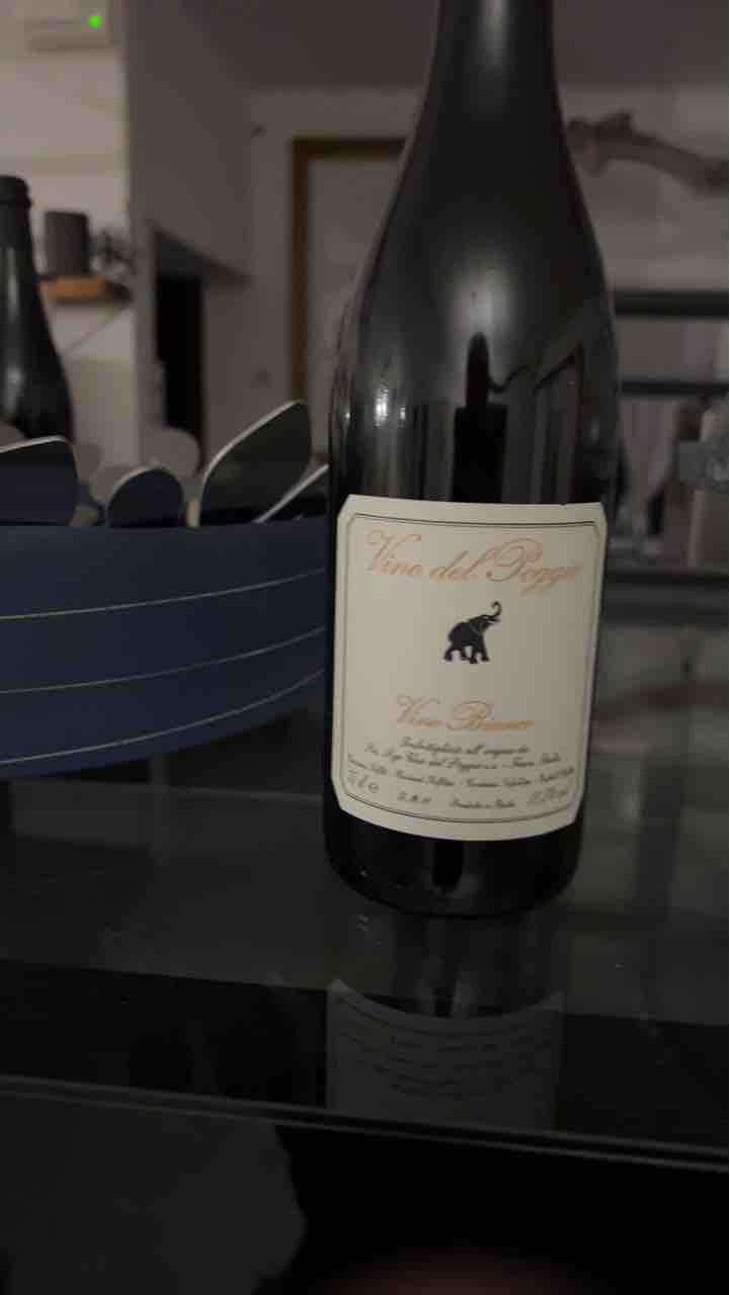 Vino Bianco - Vino del Poggio - Andrea Cervini 
