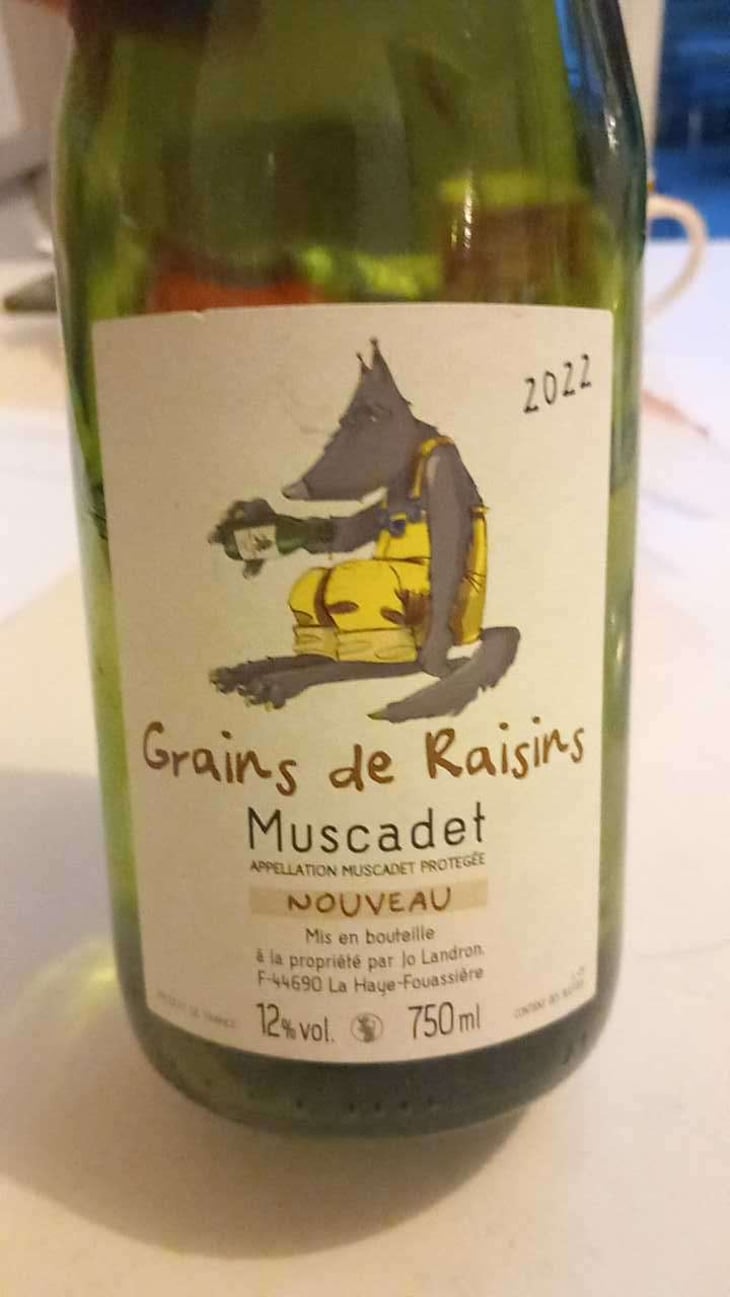 Grains de Raisins - Domaine Jo Landron - Jo Landron 