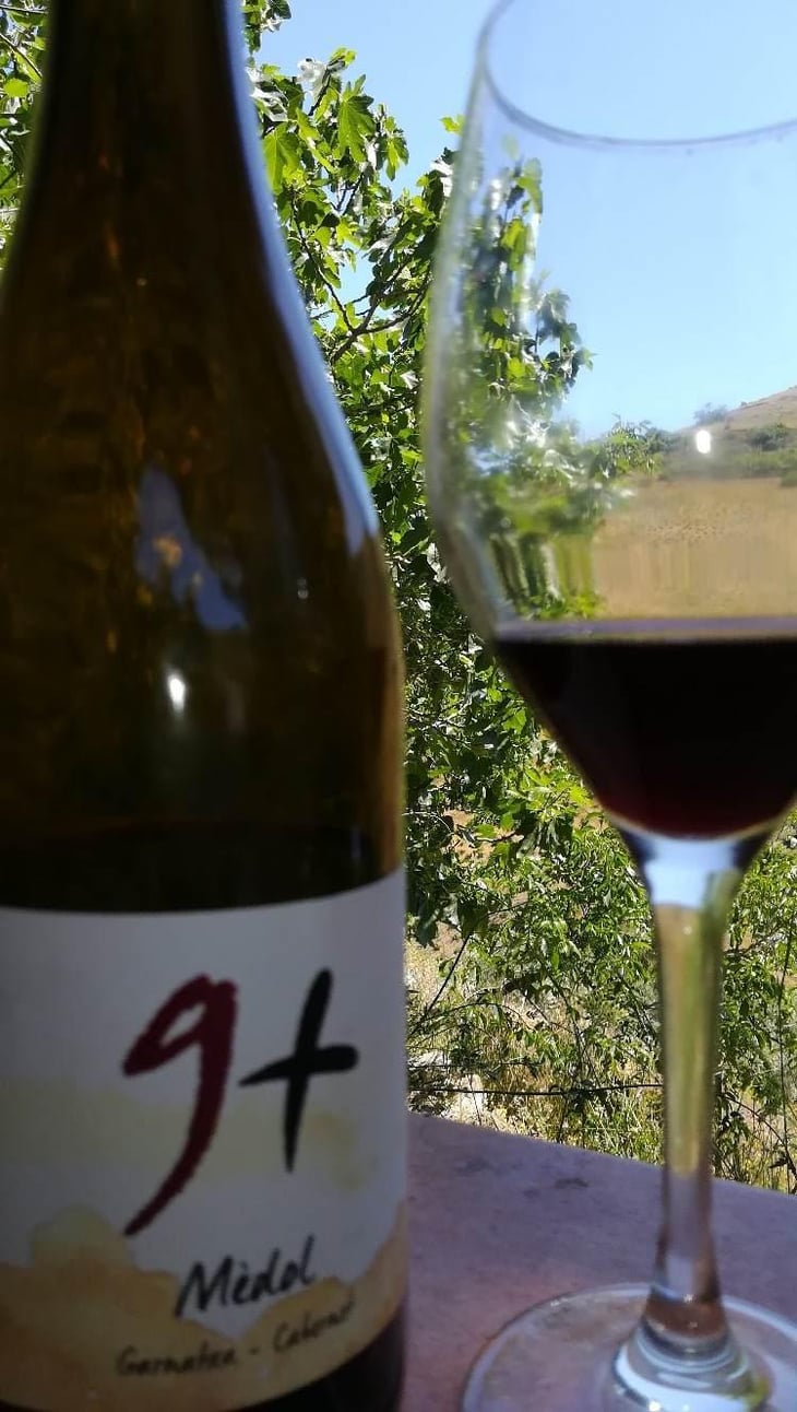 9+ Mèdol Garnatxa-Cabernet - Celler 9+ - Moises Virgili i Rovira 