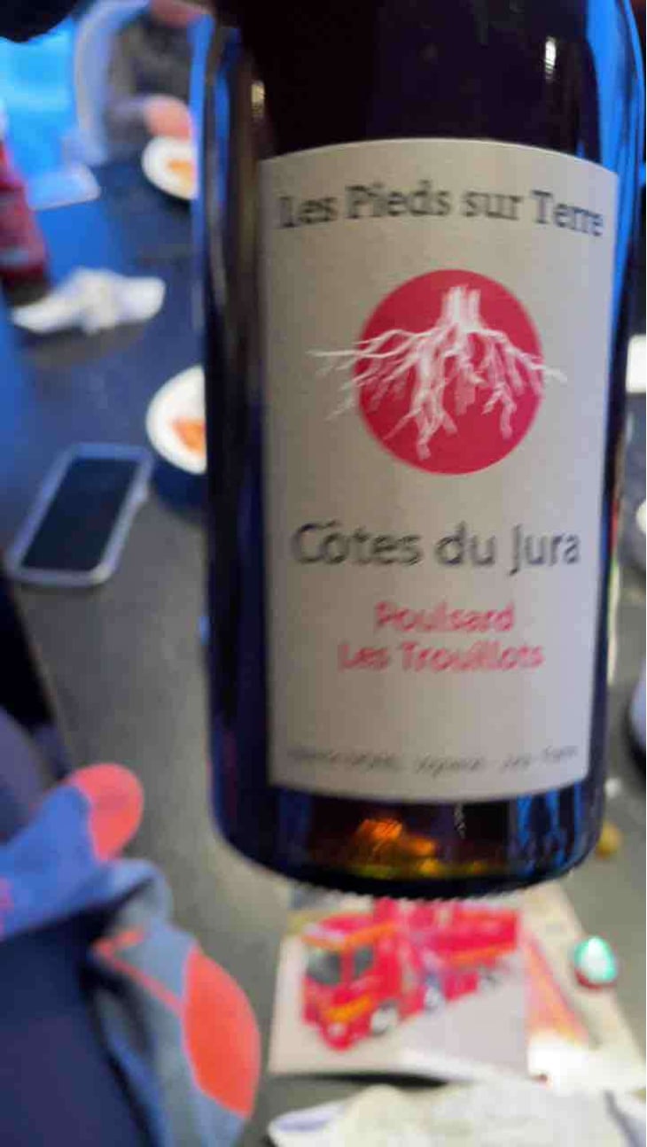 Poulsard Les Trouillots - Les Pieds Sur Terre - Valentin Morel 