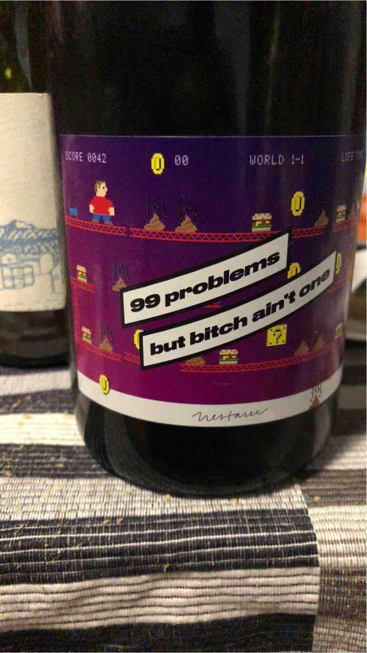 99 problems but Bitch ain't one - Milan Nestarec - Milan Nestarec -2017