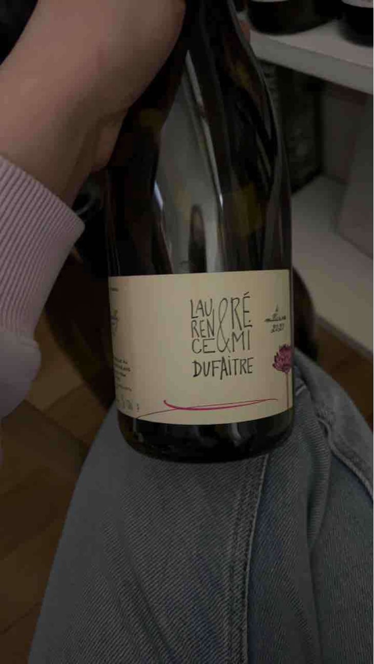 Côte de Brouilly - Domaine de Botheland - Rémi Dufaitre & Laurence Liatard 
