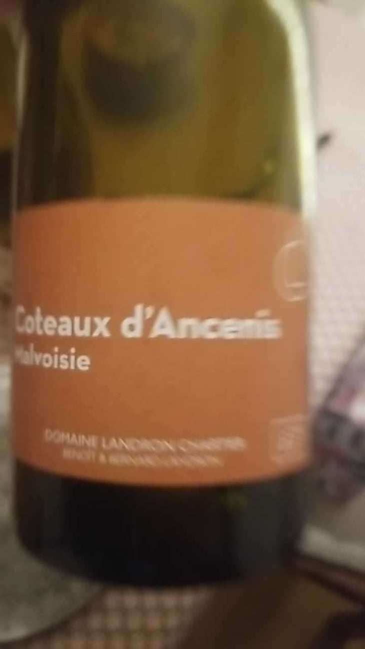 Coteaux d’Ancenis - Domaine Landron-Chartier - Bernard, Françoise & Benoit Landron 