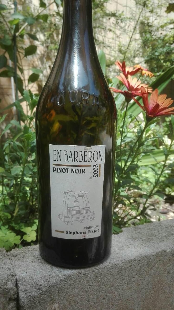 En Barberon Pinot Noir - Domaine André & Mireille Tissot - Bénédicte & Stéphane Tissot -2019