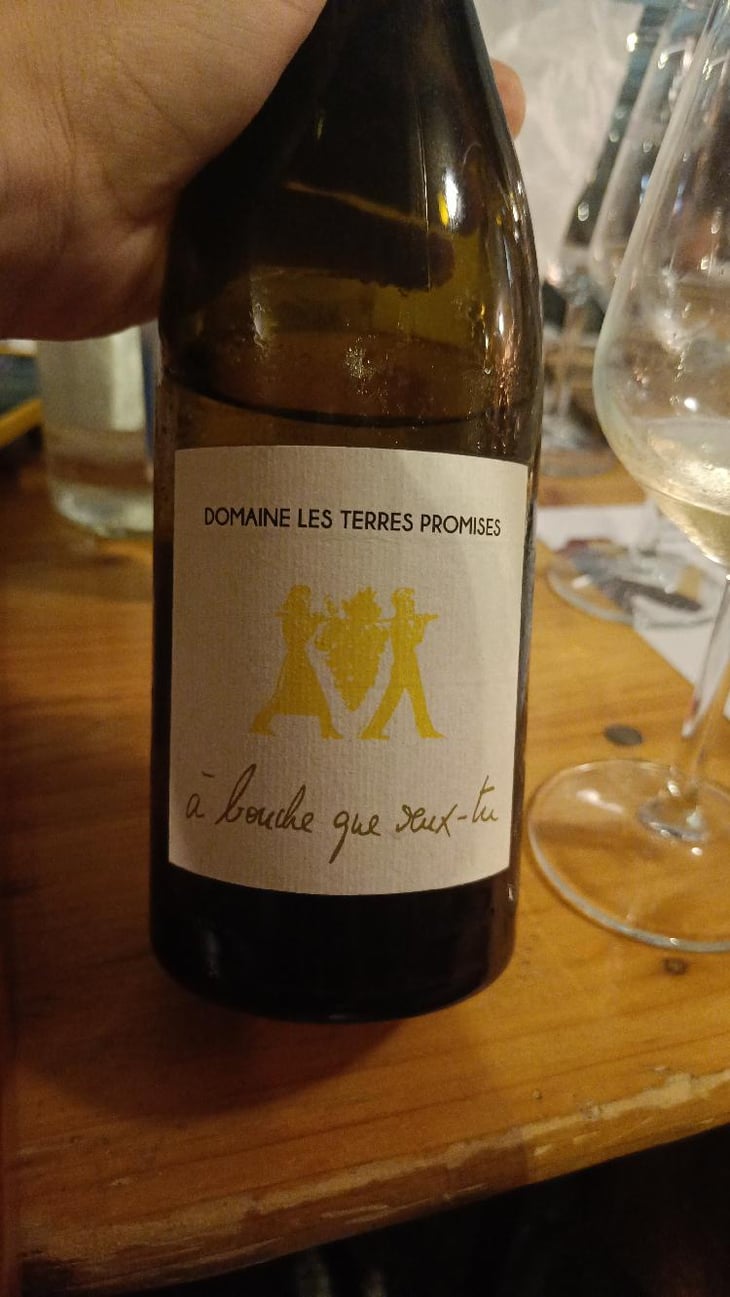 À Bouche Que Veux-Tu - Les Terres Promises - Jean-Christophe Comor 