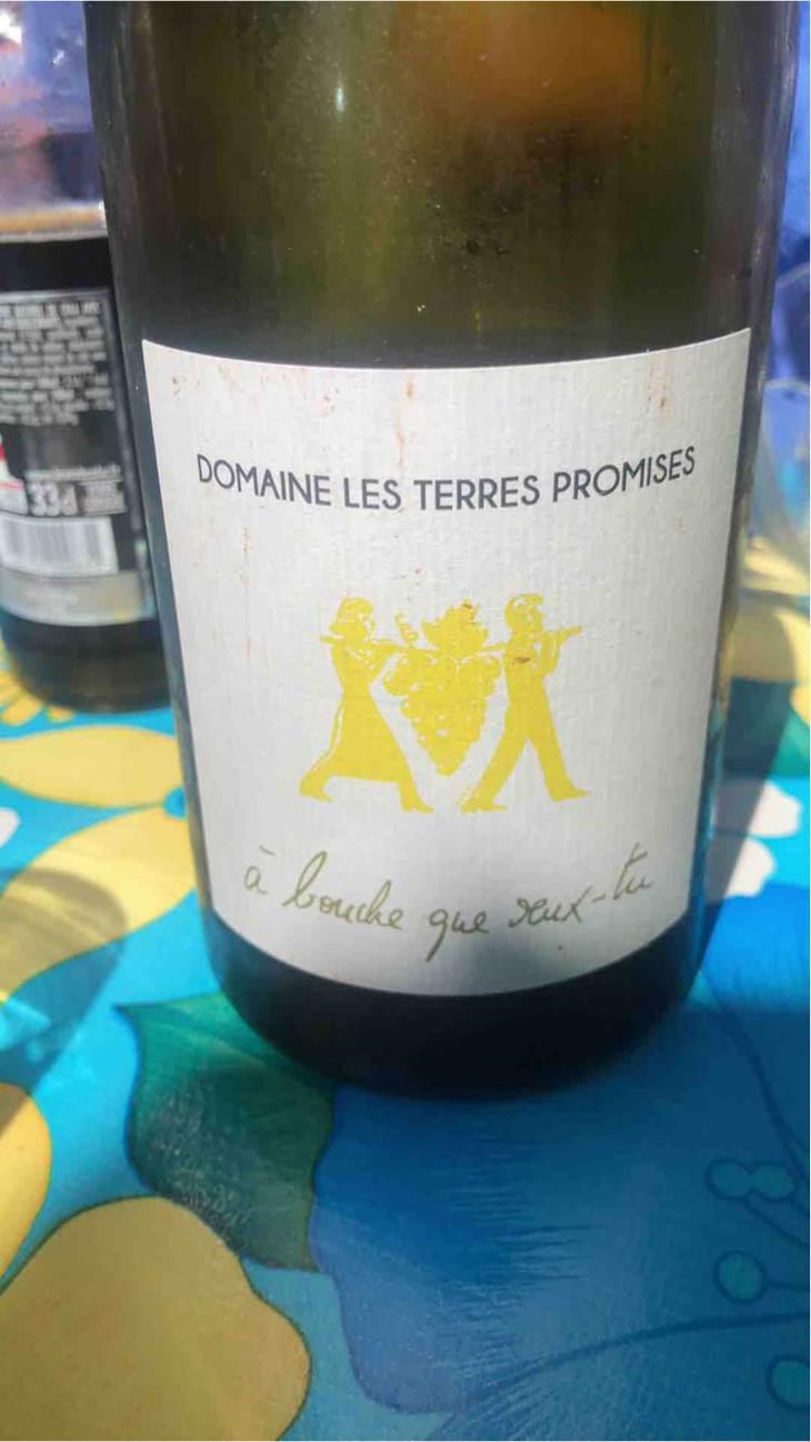 À Bouche Que Veux-Tu - Les Terres Promises - Jean-Christophe Comor 