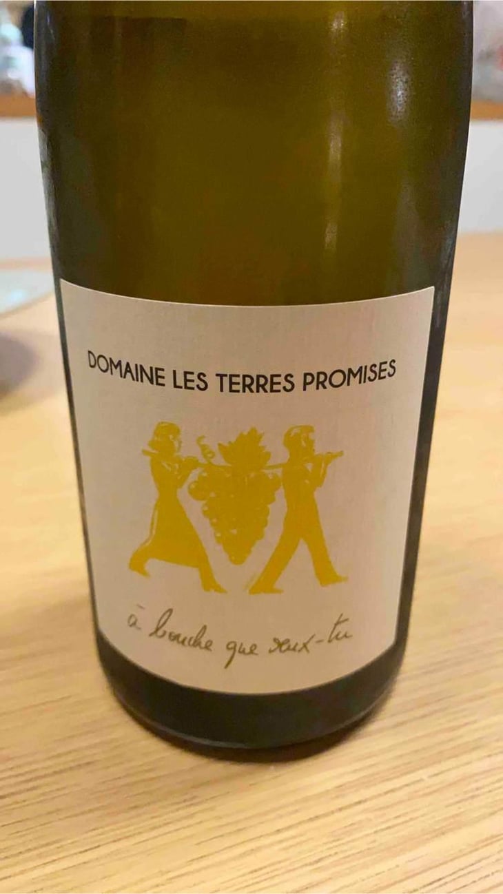 À Bouche Que Veux-Tu - Les Terres Promises - Jean-Christophe Comor 