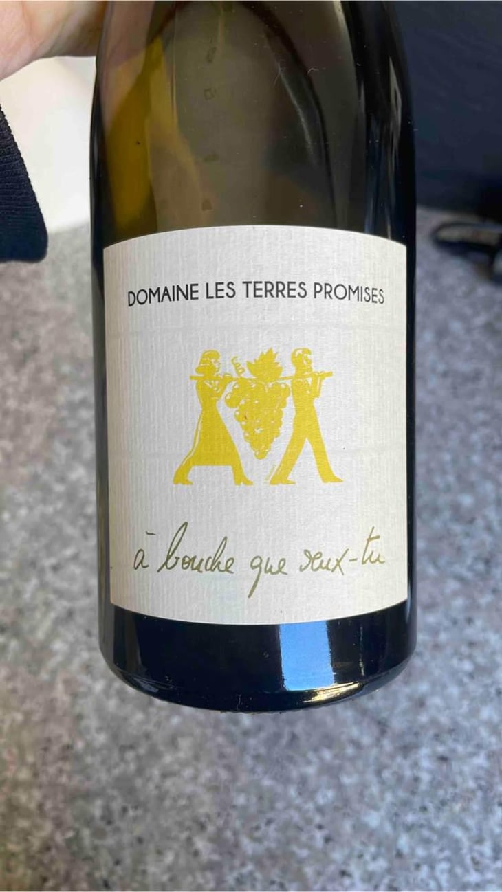 À Bouche Que Veux-Tu - Les Terres Promises - Jean-Christophe Comor 