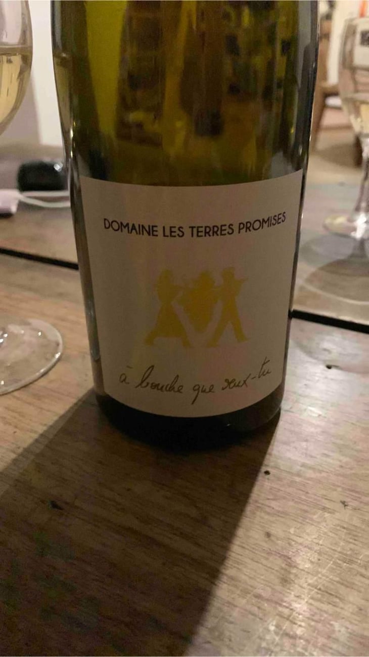 À Bouche Que Veux-Tu - Les Terres Promises - Jean-Christophe Comor 