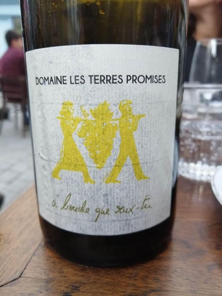 À Bouche Que Veux-Tu - Les Terres Promises - Jean-Christophe Comor 