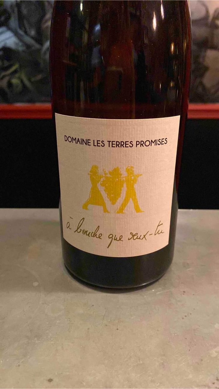 À Bouche Que Veux-Tu - Les Terres Promises - Jean-Christophe Comor 