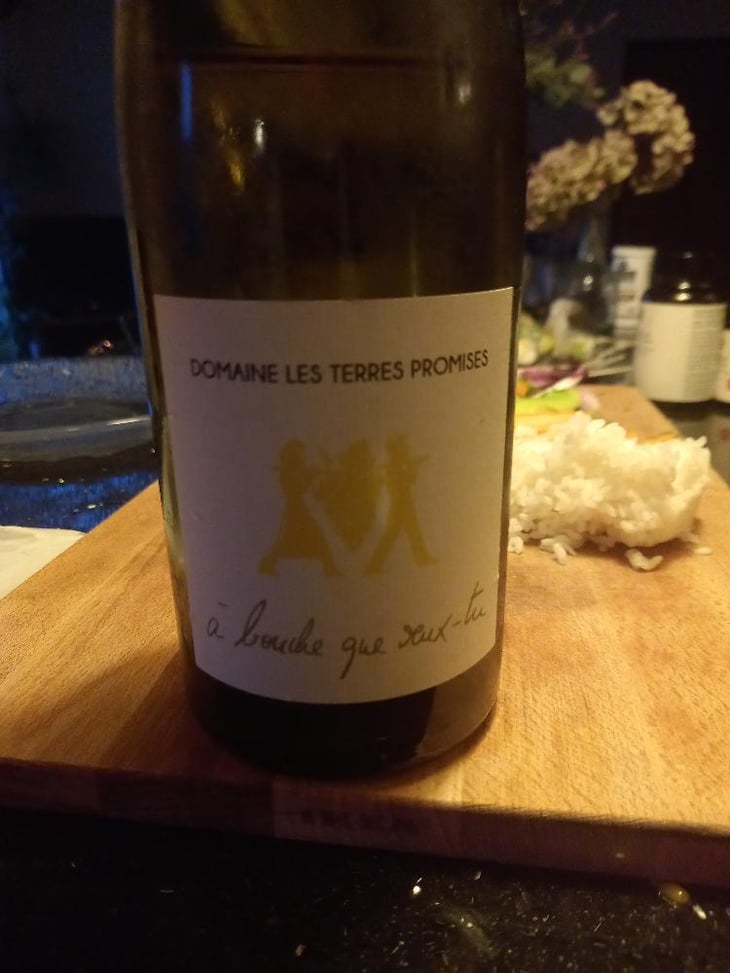 À Bouche Que Veux-Tu - Les Terres Promises - Jean-Christophe Comor 