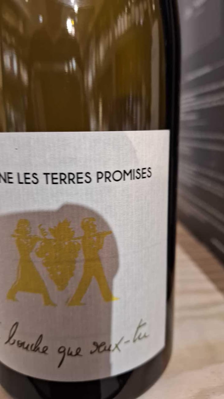 À Bouche Que Veux-Tu - Les Terres Promises - Jean-Christophe Comor 