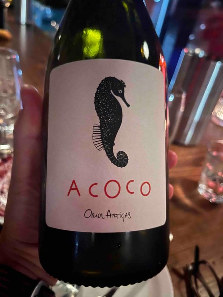 A coco - Alella - Oriol Artigas 