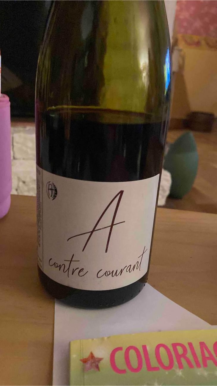 A Contre Courant - Clos Belle Croix - Reynald Héaulé 