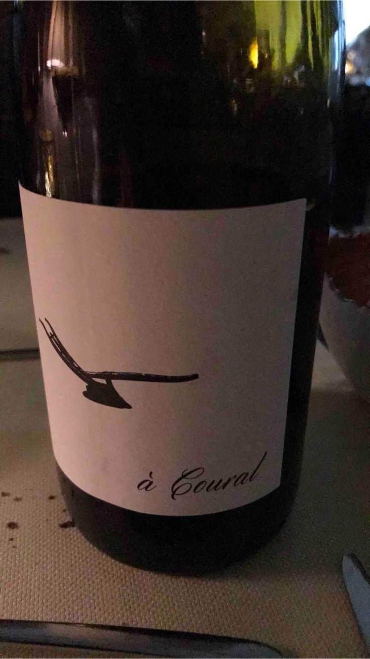 À Coural - Domaine des Amiel - Aymeric & Jordan Amiel 