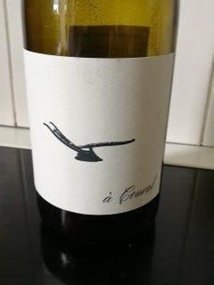 À Coural - Domaine des Amiel - Aymeric & Jordan Amiel 