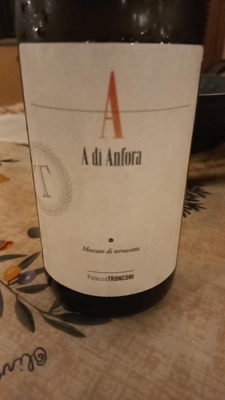 A Di Anfora - Palazzo Tronconi - Marco Marrocco 