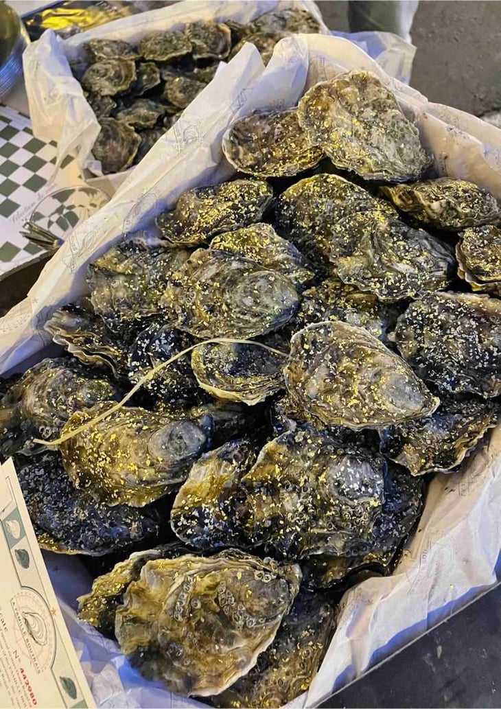 A La Carte Les Huîtres De La Famille Boutrais - Brasserie du Diamant - 559616