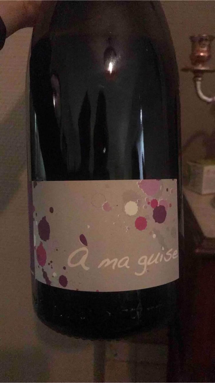 À Ma Guise - Les Terres Promises - Jean-Christophe Comor 