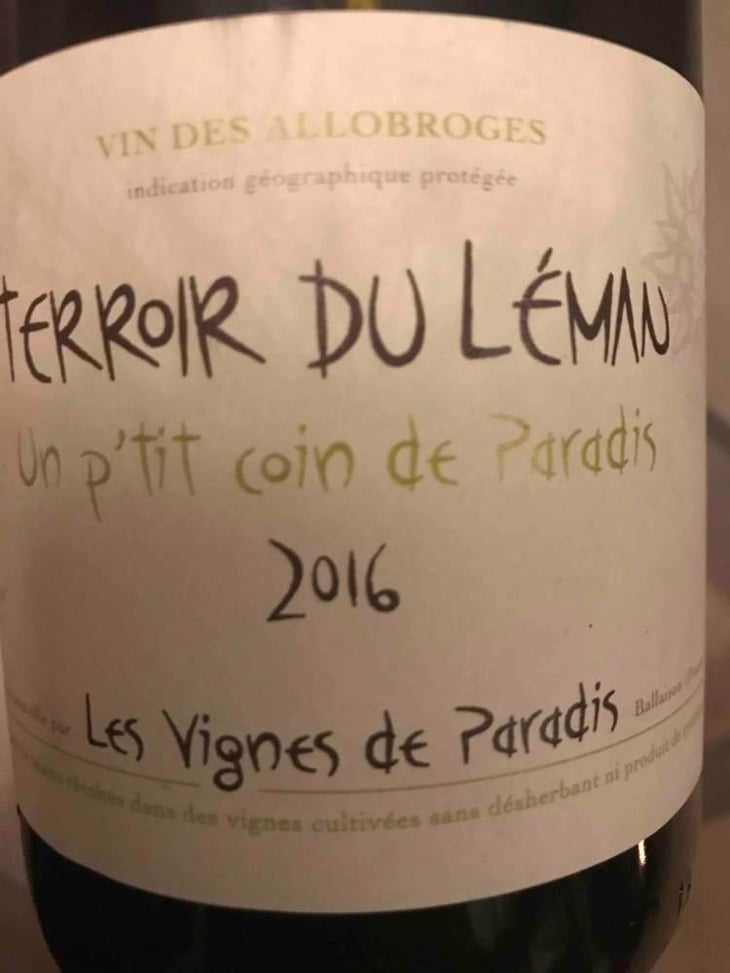 Un P'tit Coin de Paradis - Les Vignes de Paradis - Dominique Lucas 