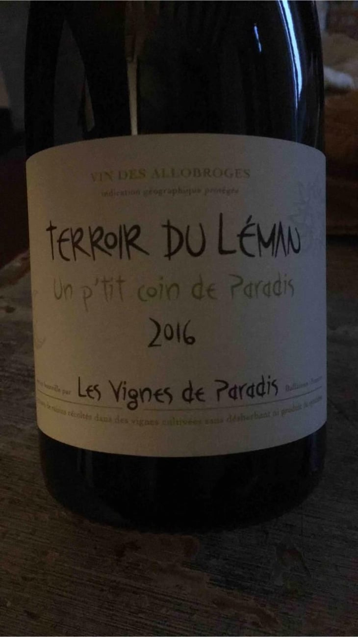 Un P'tit Coin de Paradis - Les Vignes de Paradis - Dominique Lucas 