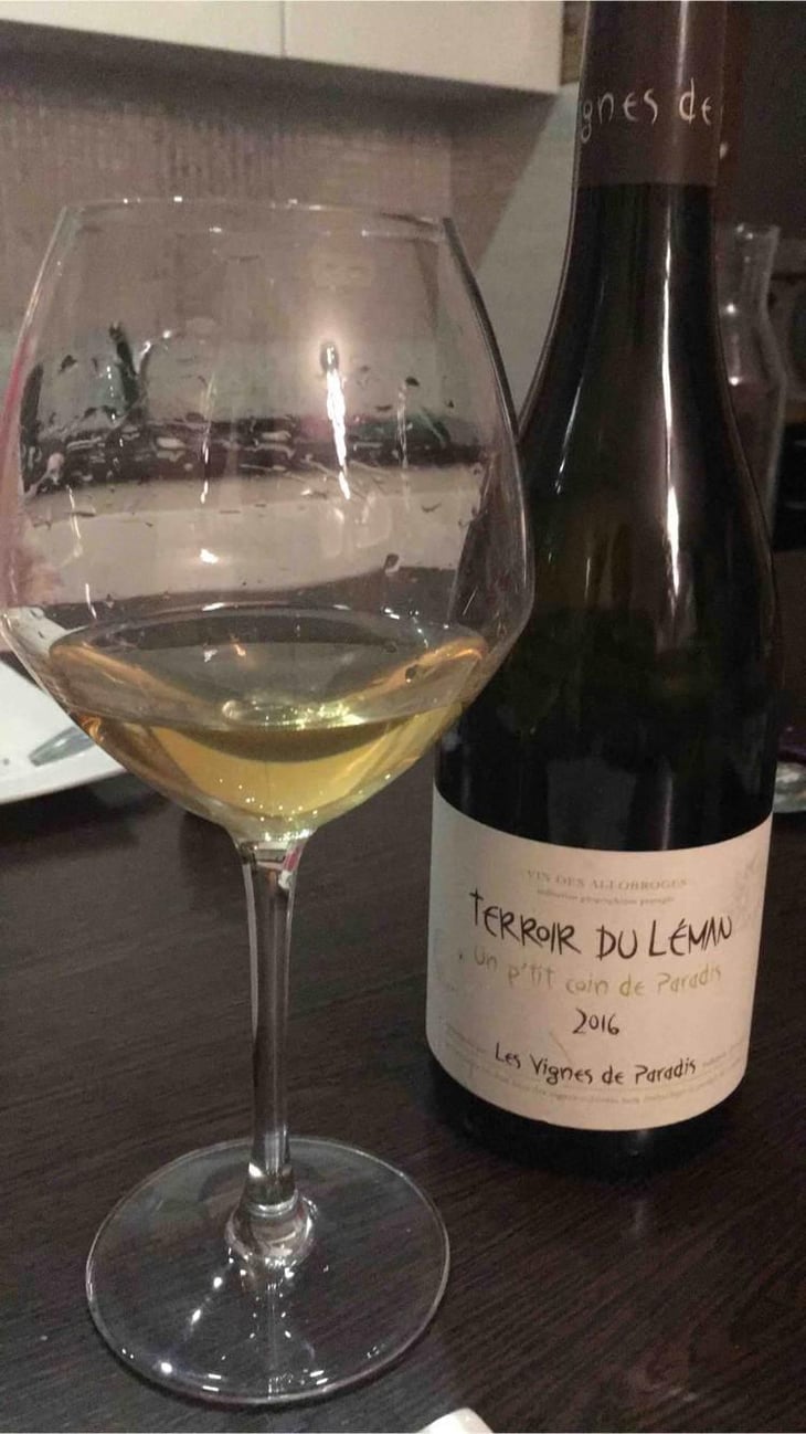 Un P'tit Coin de Paradis - Les Vignes de Paradis - Dominique Lucas 
