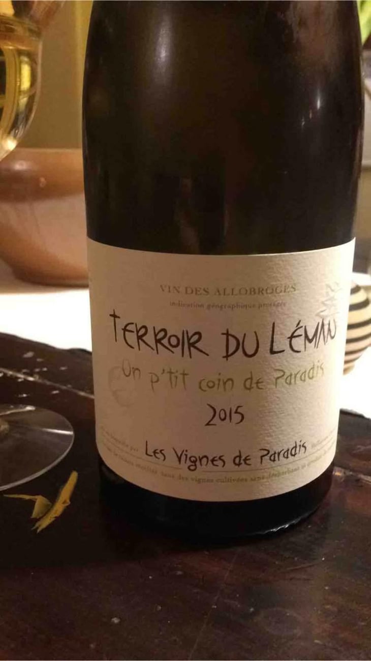 Un P'tit Coin de Paradis - Les Vignes de Paradis - Dominique Lucas 