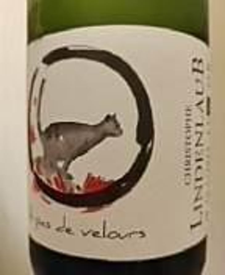 A Pas de Velours - Lindenlaub - Christophe Lindenlaub 