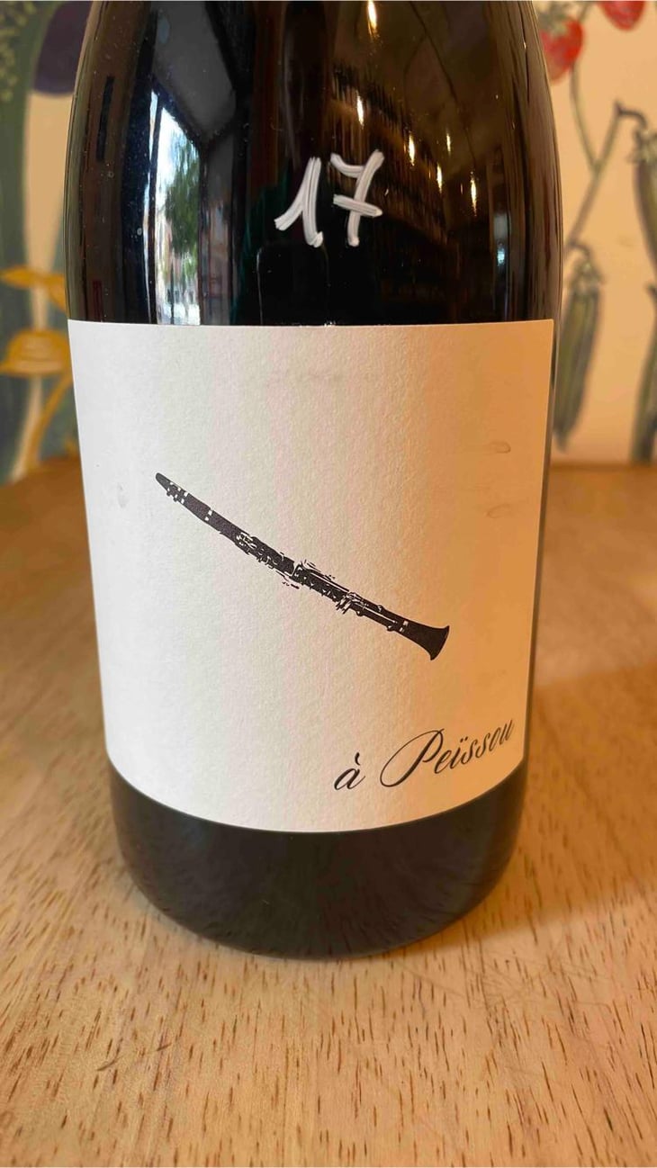 À Peissou - Domaine des Amiel - Aymeric & Jordan Amiel 