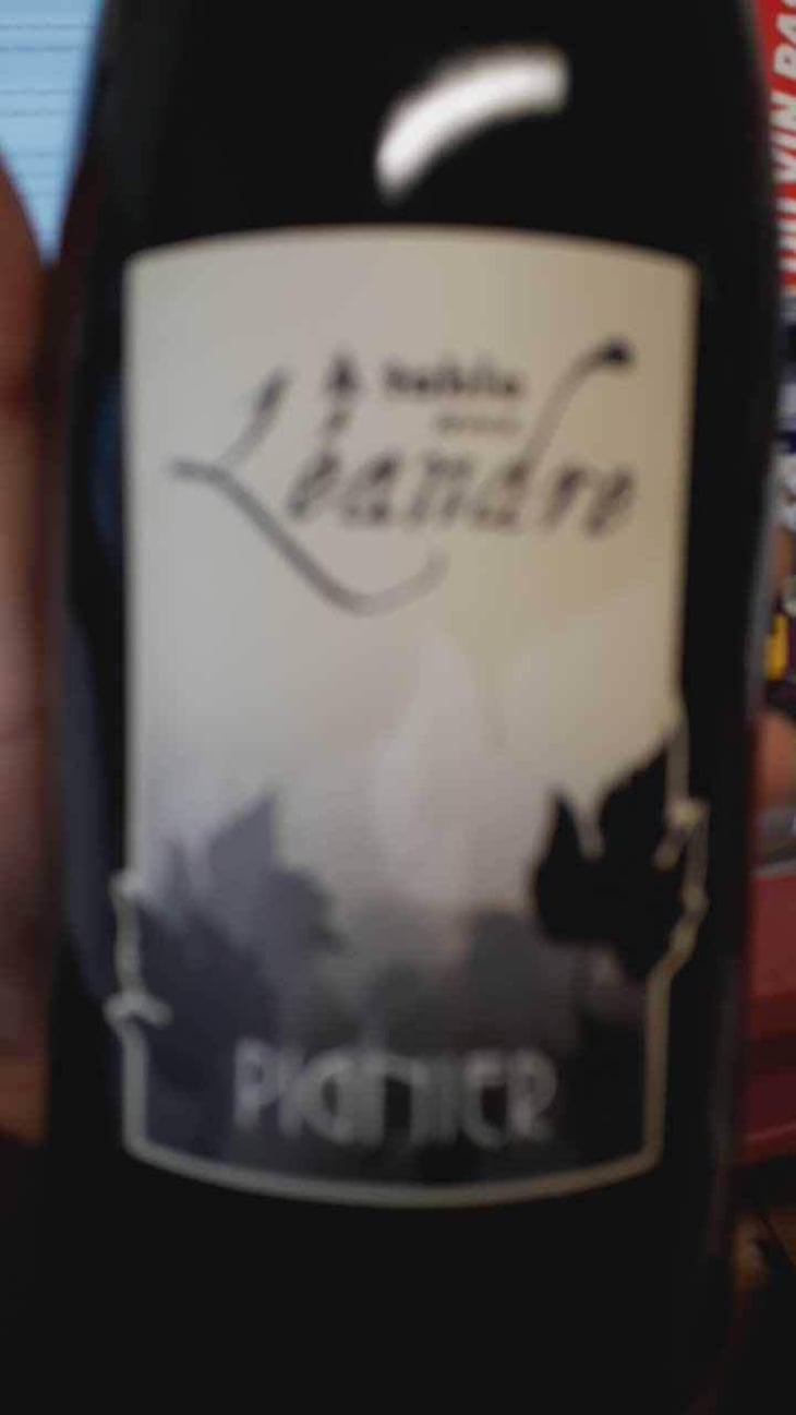 À Table Avec Leandre - Domaine Pignier - Marie Florence, Antoine & Jean-Etienne Pignier 