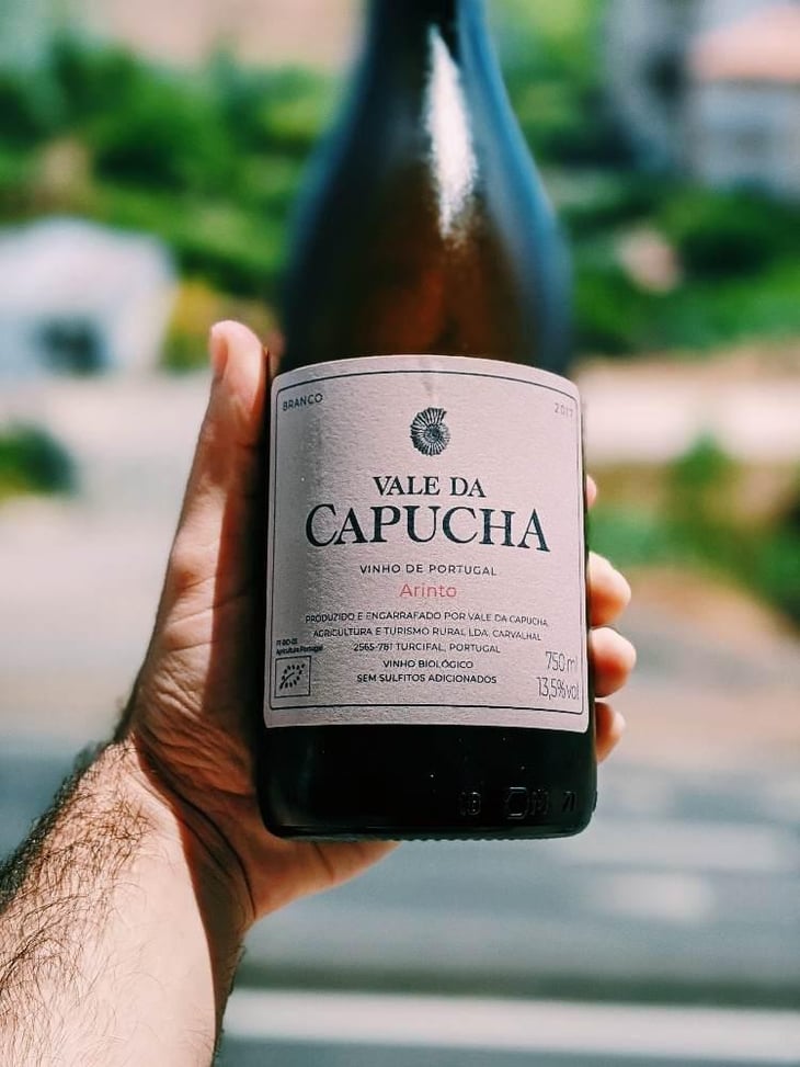 Arinto - Vale da Capucha - Pedro Marques 